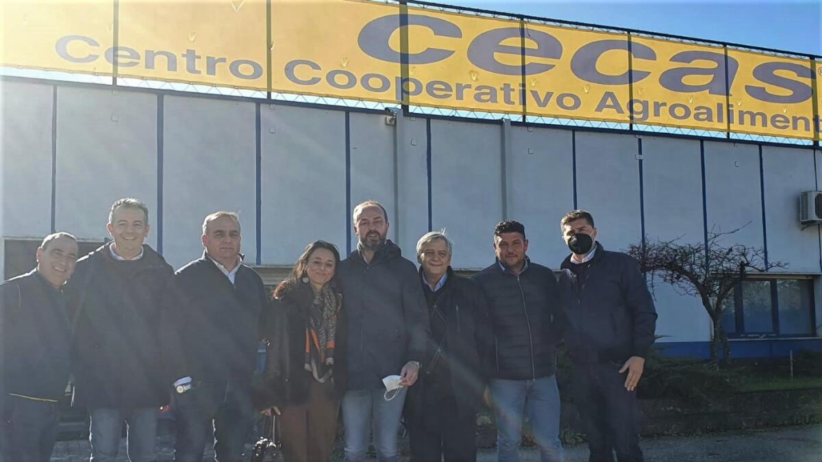Gennarino Masiello eletto Presidente del Cecas - 