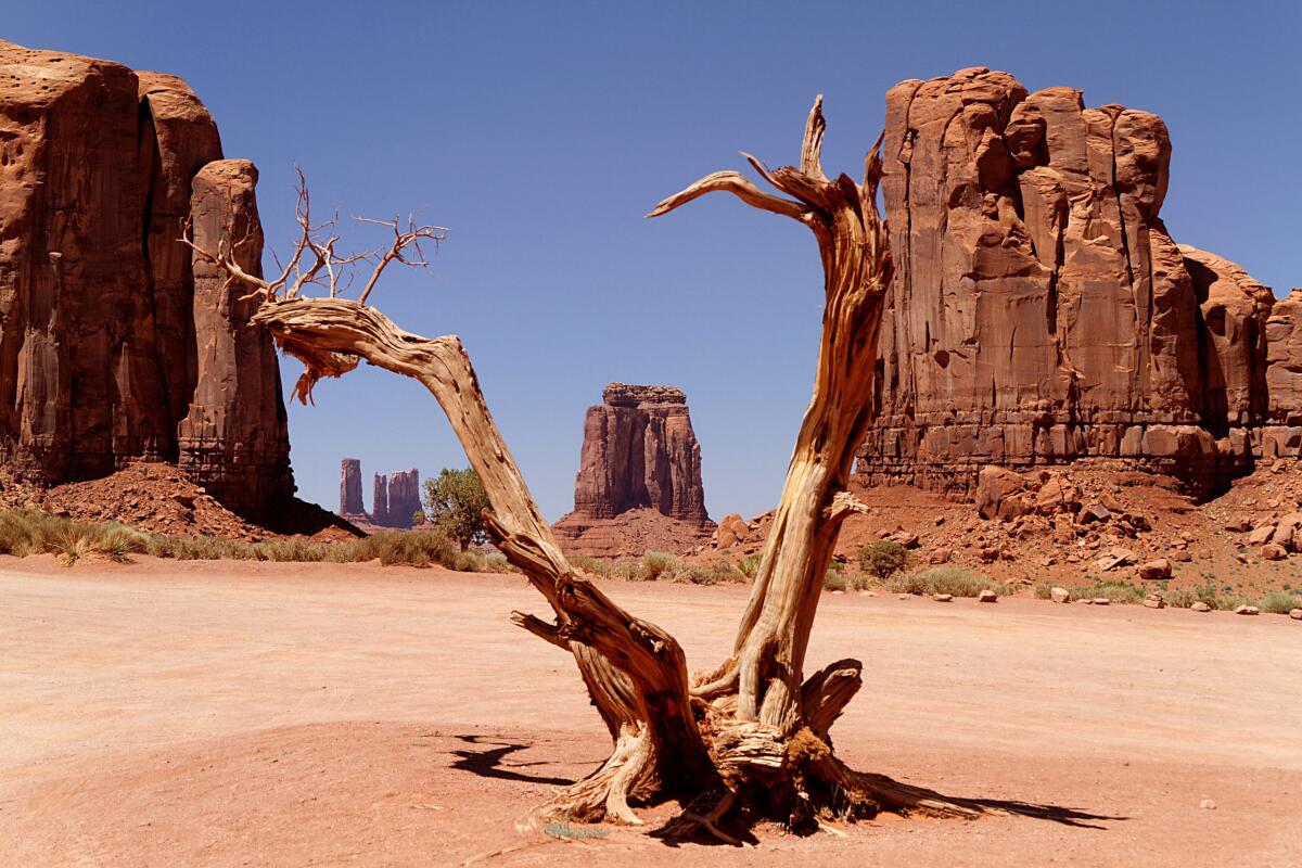 Lucky Luke e la Roulette Indiana, l’episodio sulle origini immaginarie di Las Vegas - 