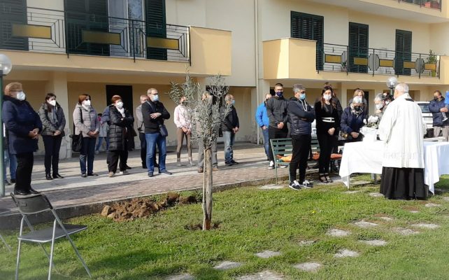 Montesarchio. Un albero di ulivo in ricordo di Antonio De Mizio, vittima del covid