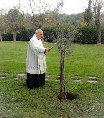 Montesarchio. Un albero di ulivo in ricordo di Antonio De Mizio, vittima del covid