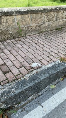 Montesarchio. Situazione di degrado in via Francesco Puchetta dove i cittadini devono con vivere con i topi