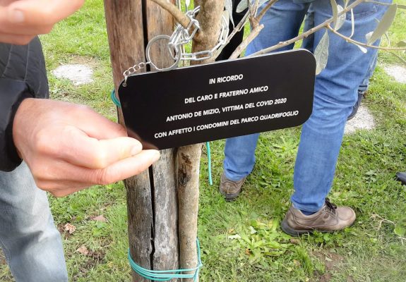 Montesarchio. Un albero di ulivo in ricordo di Antonio De Mizio, vittima del covid