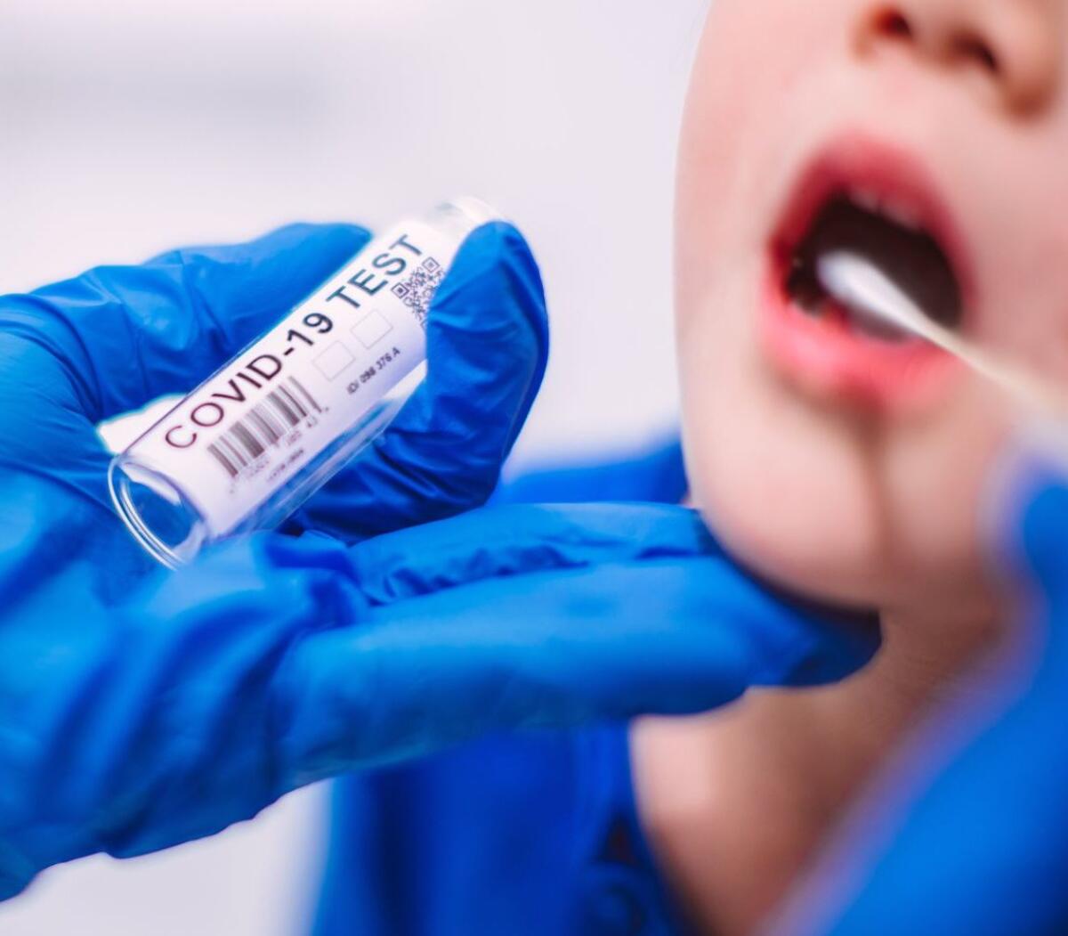 Covid. A Puglianello tamponi molecolari gratuiti su iniziativa del Comune - 