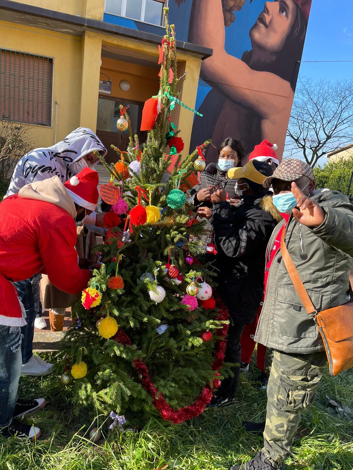 A Solopaca un albero di Natale illuminato dalla solidarietà e dall'integrazione - 