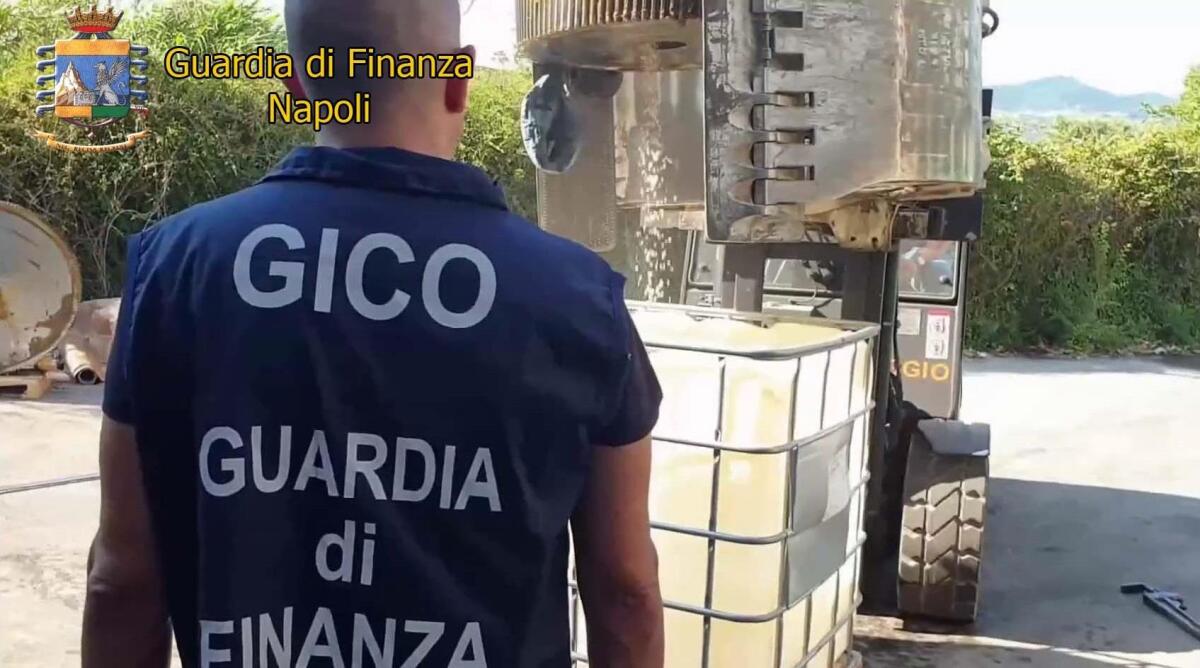 11 persone in manette per traffico internazionale di droga - 