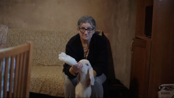 Laceno d'oro 46: Vince il film italiano “La distanza” del collettivo Enece Film