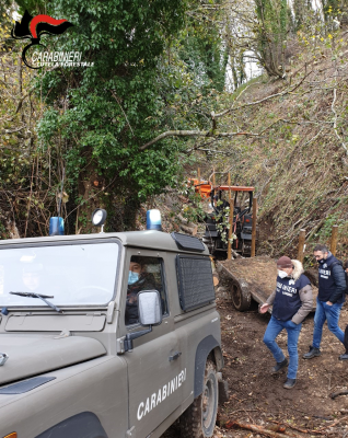 Cinque persone sorprese a tagliare alberi di alto fusto nel Parco del Taburno-Camposauro
