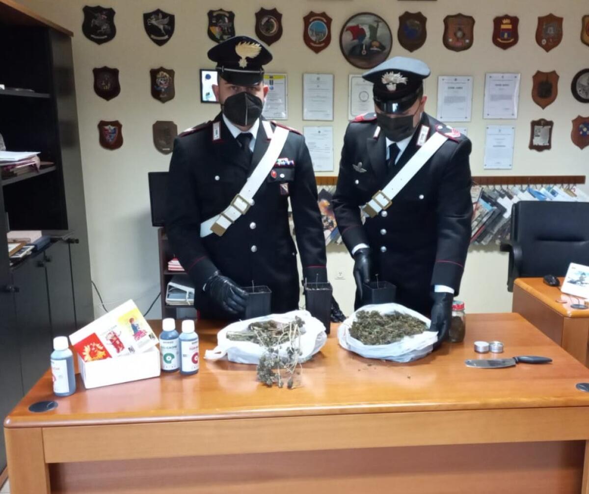 Spaccio di droga, operazione dei Carabinieri a Ceppaloni - 