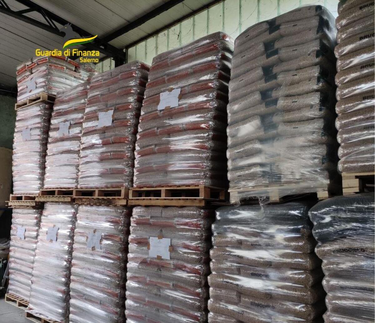 Sequestrate 15 tonnellate di nocciolino non a norma - 