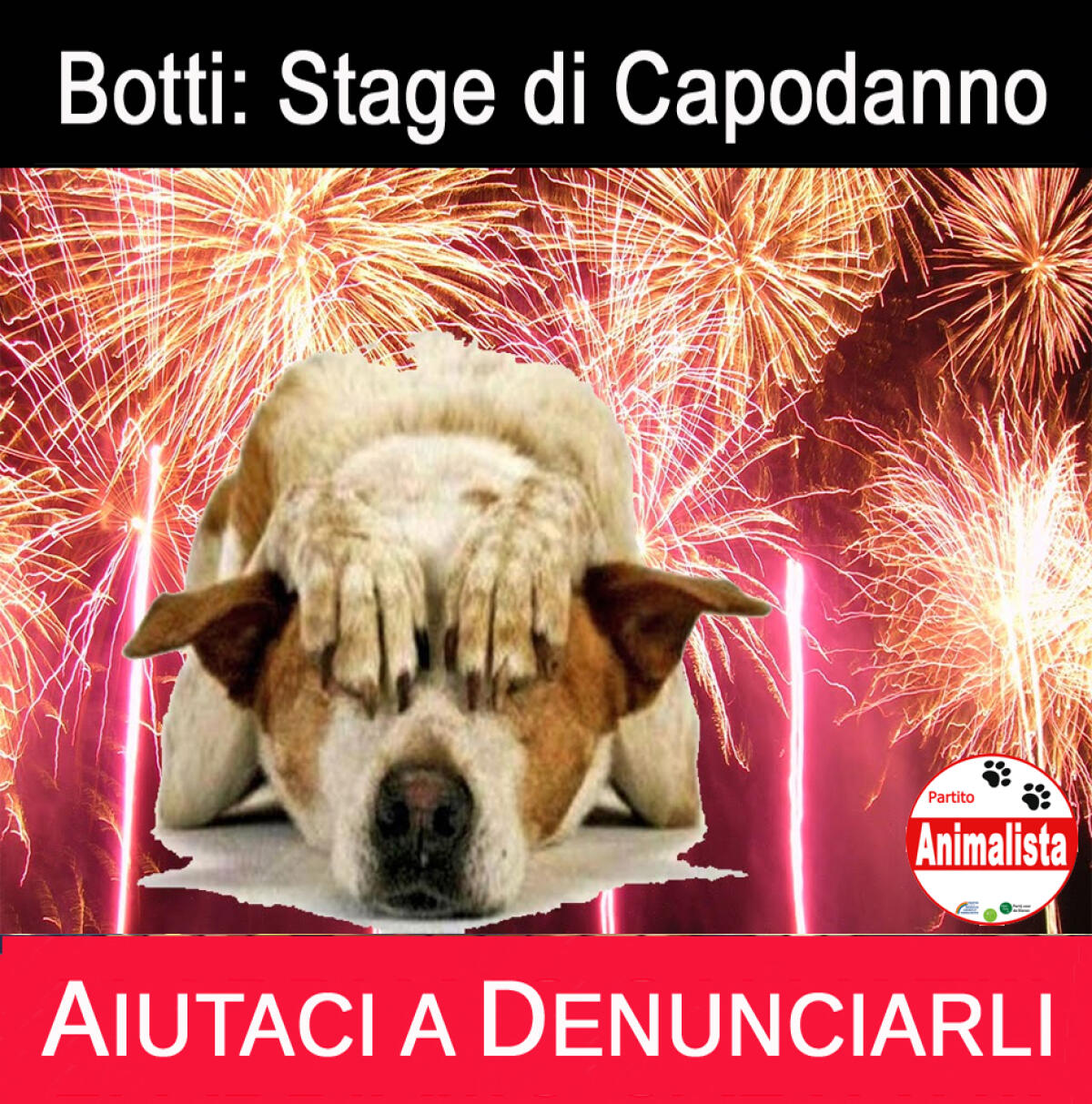 Strage di animali a capodanno a causa di botti e petardi. - 