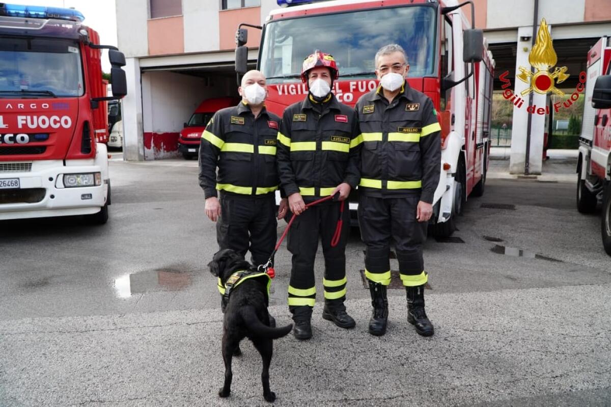 Vigili del Fuoco Avellino, cerimonia per il pensionamento di Sasha - 