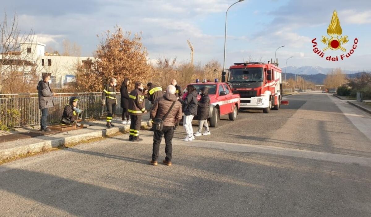 Salvato cagnolino caduto in un canale di scolo - 