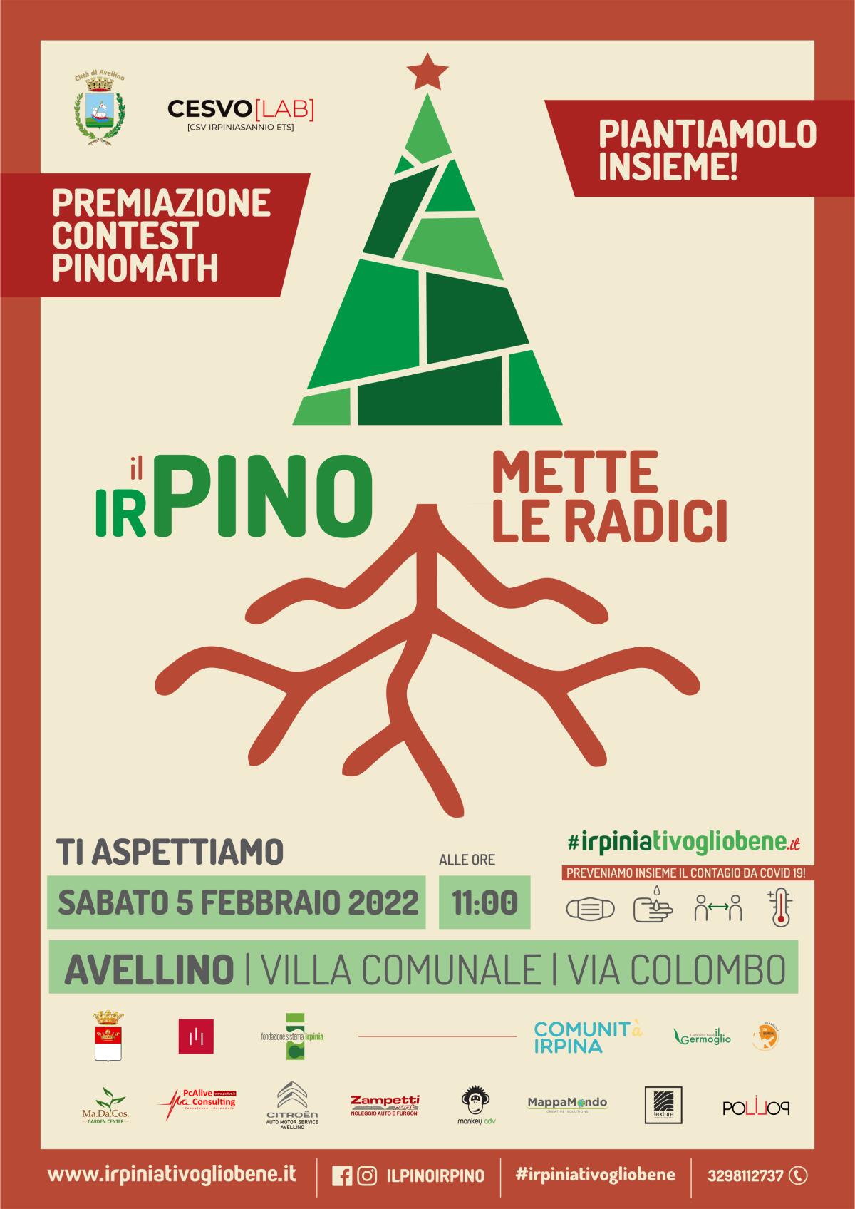 Il Pino Irpino mette le radici - 