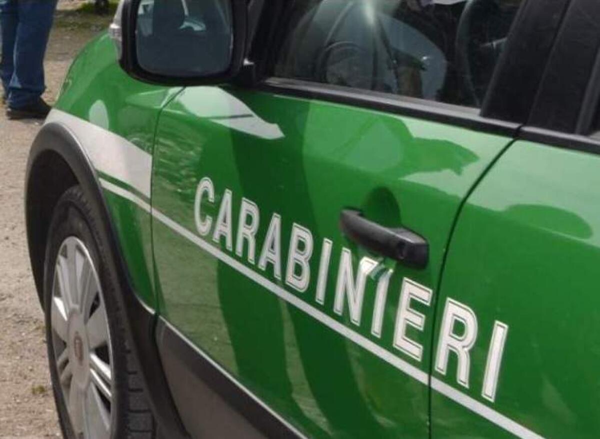 Illecito smaltimento di rifiuti, denunciato un 60 enne di Conza della Campania - 