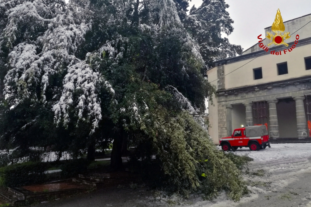Neve: una trentina di interventi dei Vigili del fuoco di Avellino