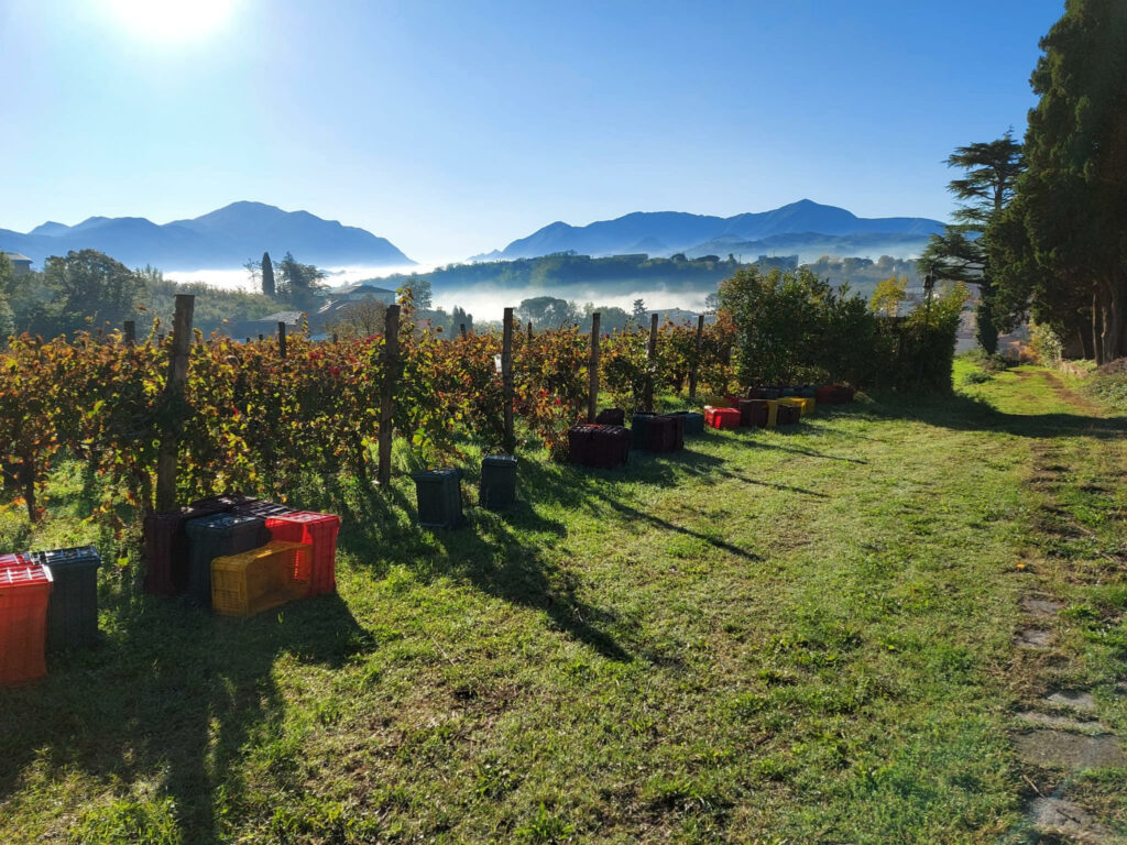 Si svolgerà in Irpinia l’edizione 2022 del Progetto Appennino