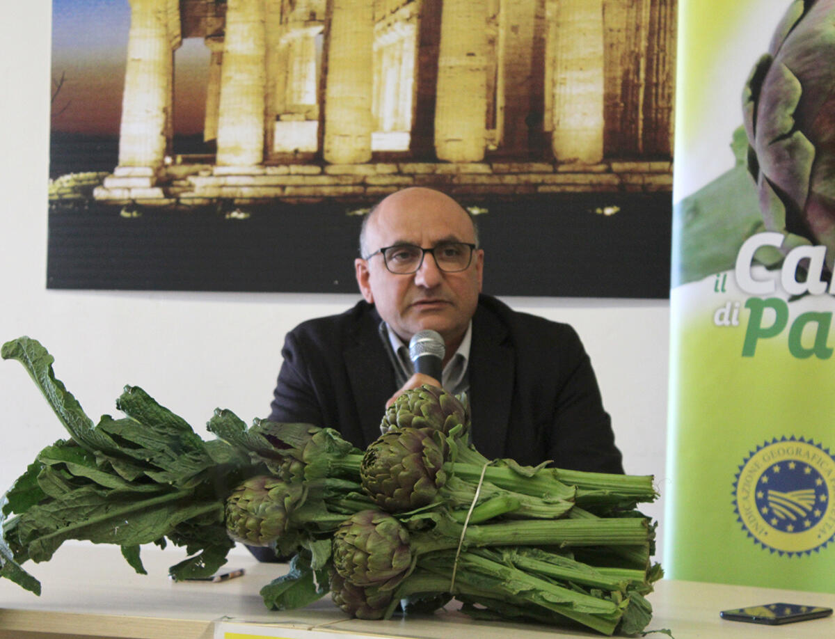 Al via la campagna promozionale 2022 del Carciofo di Paestum IGP - 