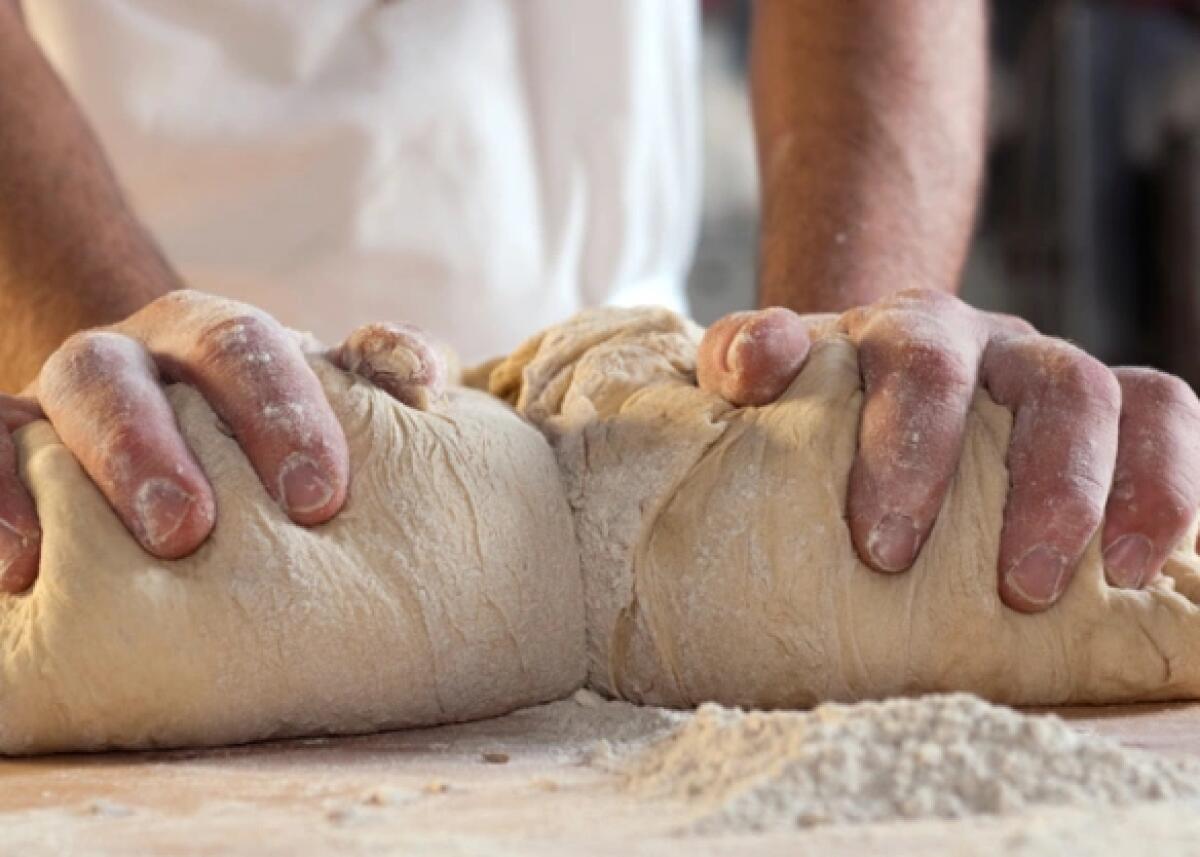 Panificatori chiedono sgravi fiscali per evitare la chiusura - 