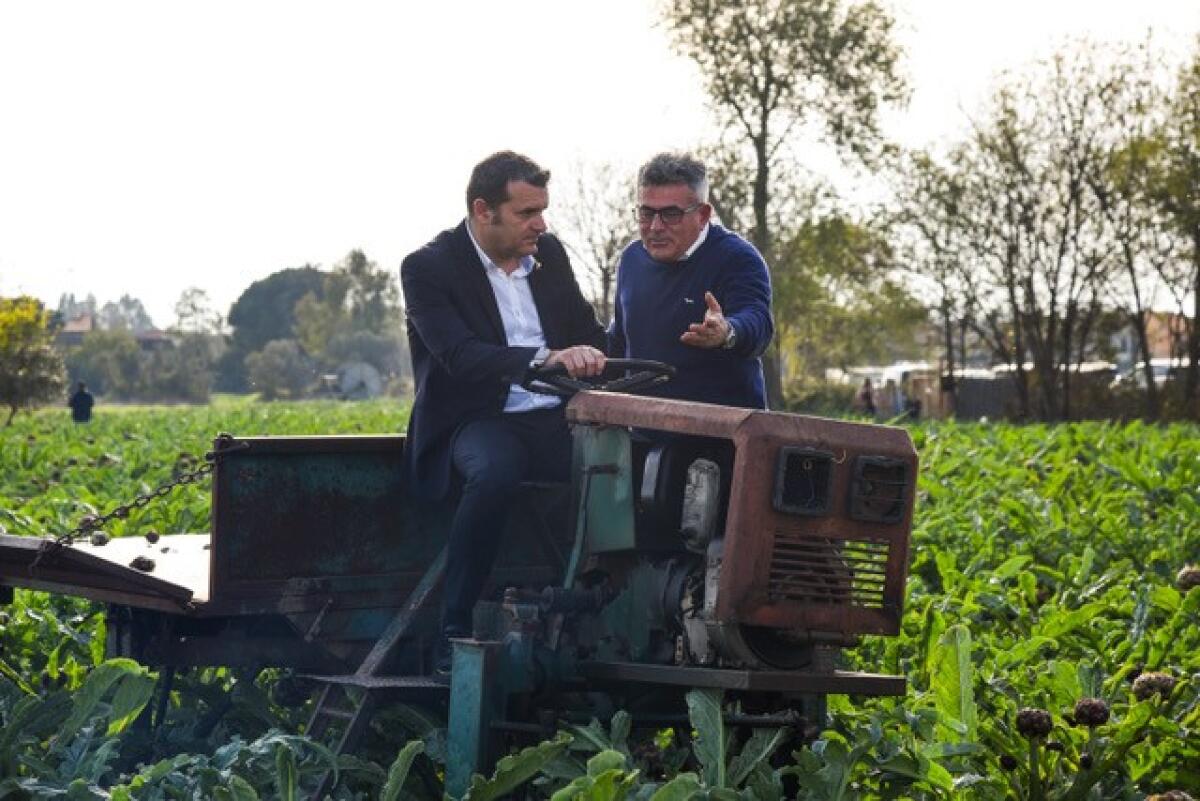 Il sottosegretario al Ministero dell’Agricoltura, Senatore Gianmarco Centinaio in campo con il Carciofo IGP - 
