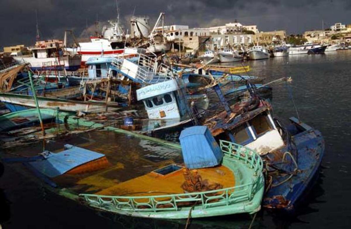 Il Violino fatto con il legno dei Barconi dei Migranti - 