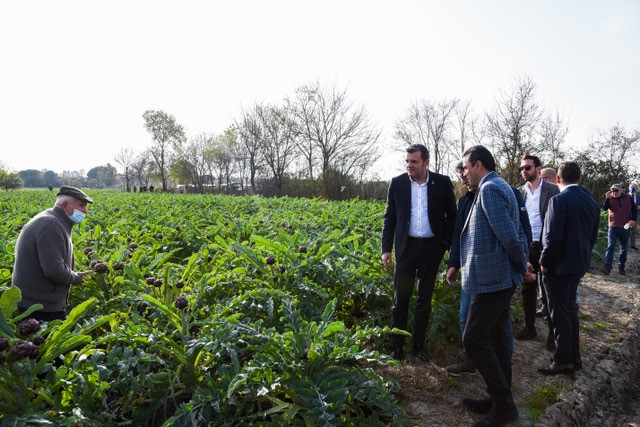 Il sottosegretario al Ministero dell’Agricoltura, Senatore Gianmarco Centinaio in campo con il Carciofo IGP