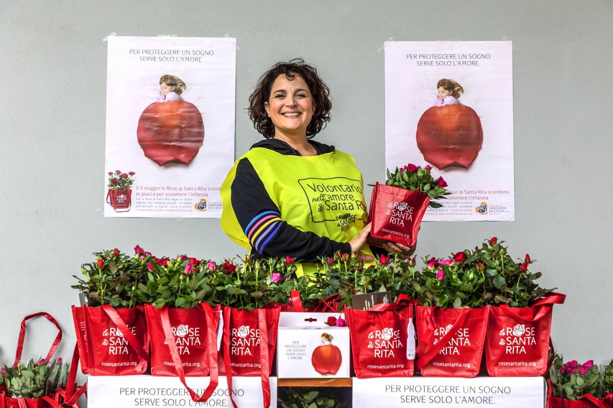 Le Rose di Santa Rita. - 