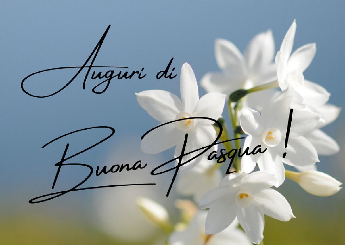Auguri di Buona Pasqua! - 