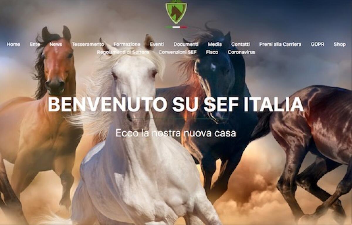 Guerra Ucraina: lezioni di equitazione gratuite per i giovani rifugiati in Campania - 