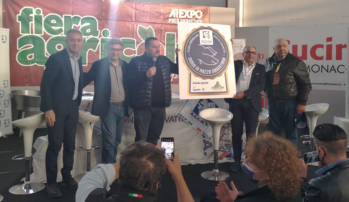 Associazione Allevatori lancia il marchio di qualità " Suino di Razza Casertana"  - 