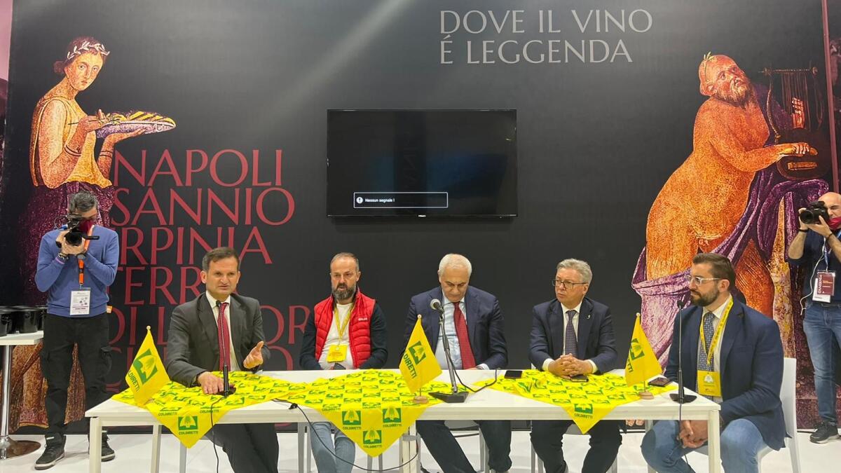 Vinitaly: Covid non ferma boom vini sanniti, Falanghina sprint - 