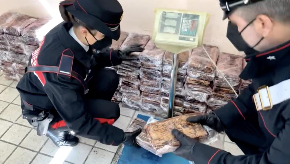 Cinquecento chili di cocaina purissima sono stati scoperti dai Carabinieri - 