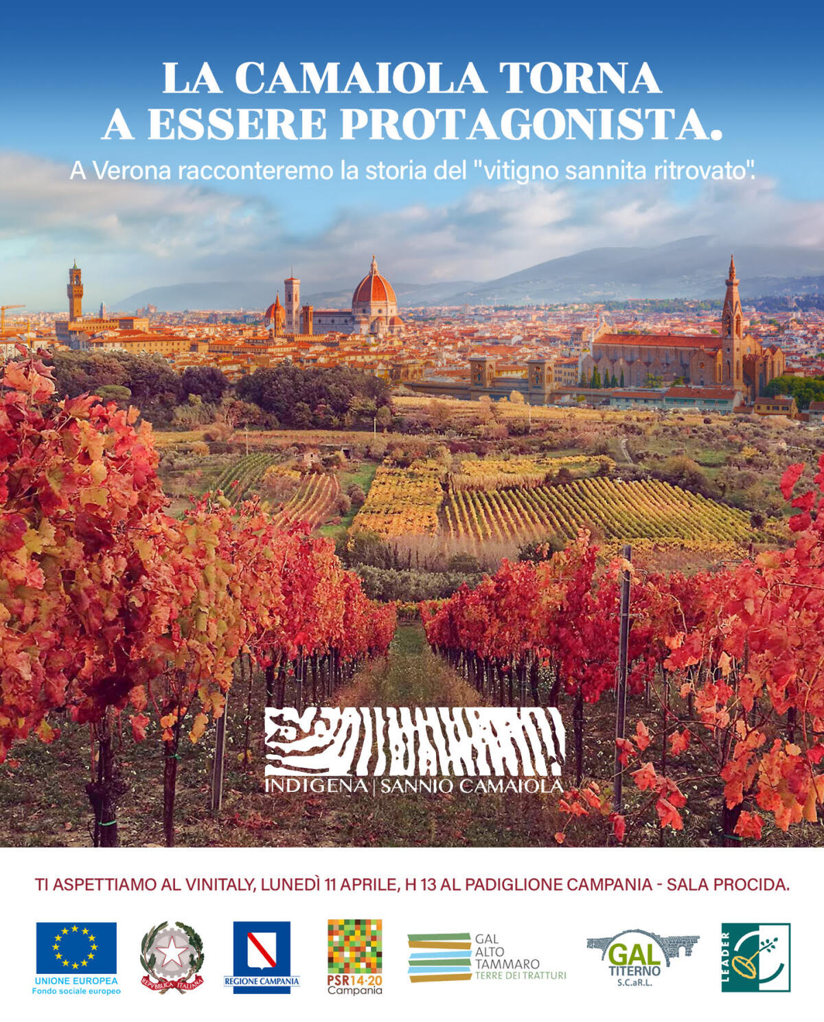 Il vitigno camaiola protagonista alla 54° edizione del 'Vinitaly' - 