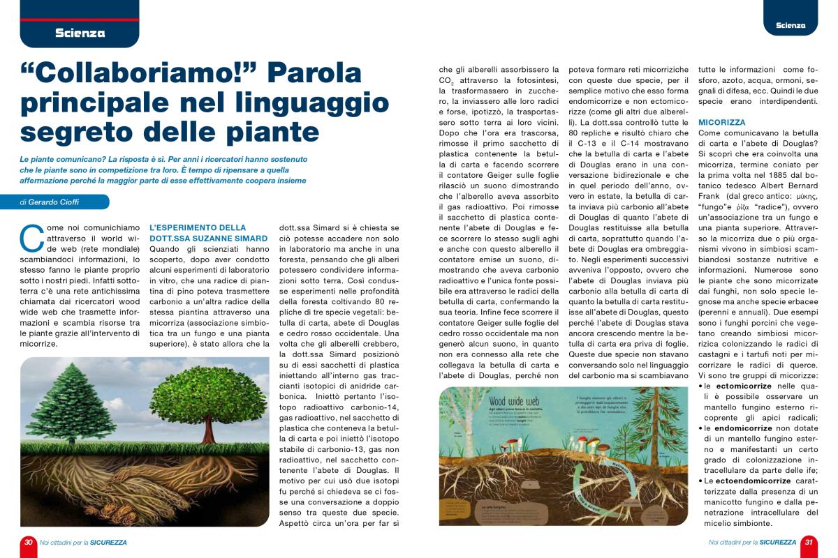 "Collaboriamo!” Parola principale nel linguaggio segreto delle piante” - 