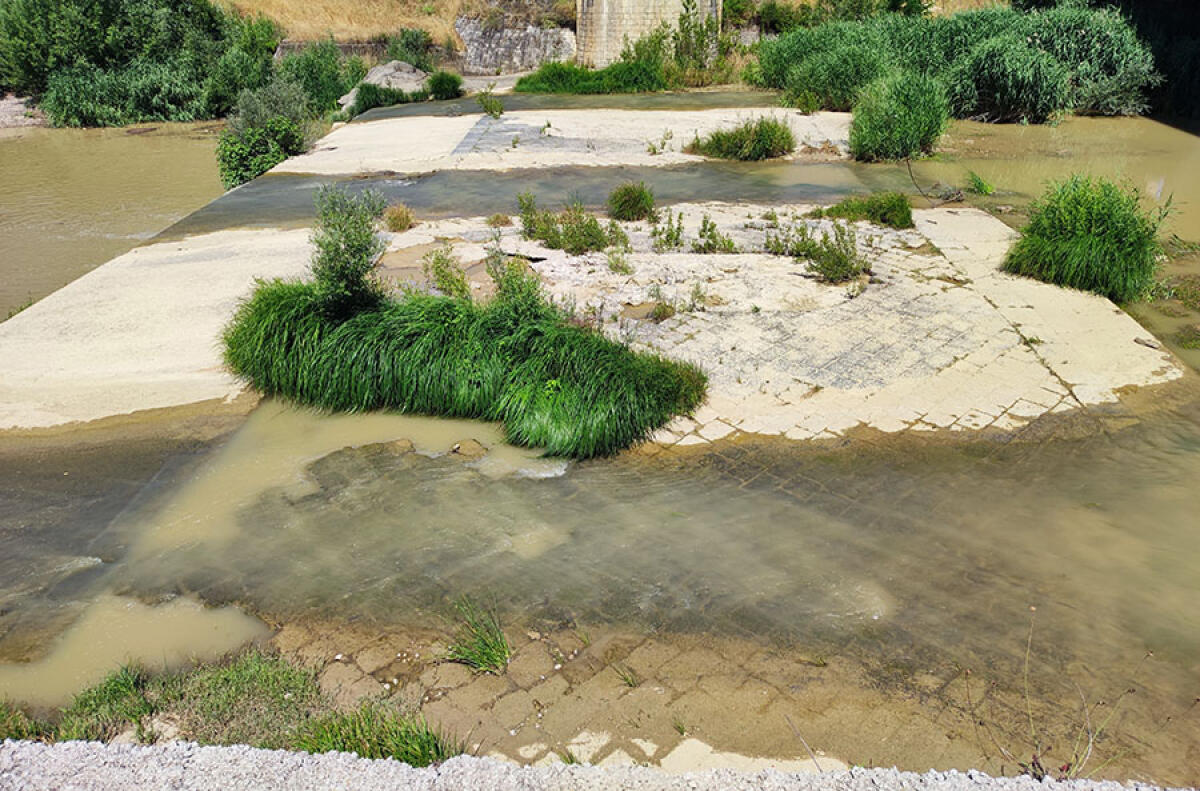 Arpac conferma che i pesci nel Tammaro sono morti per poca acqua - 
