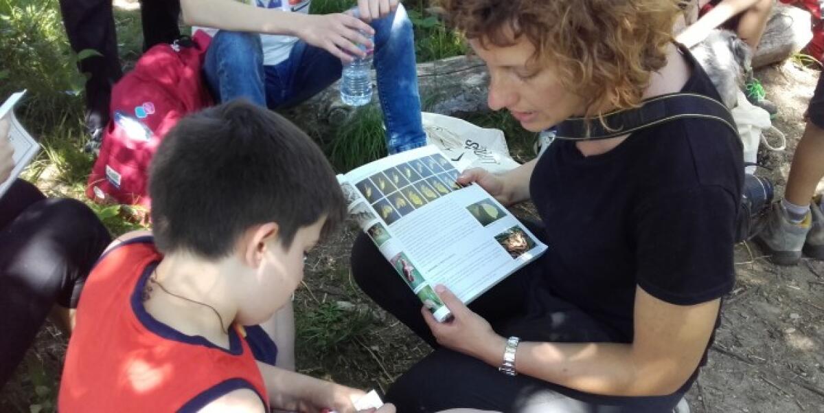 Domenica 12 giugno è il giorno del Bioblitz - 