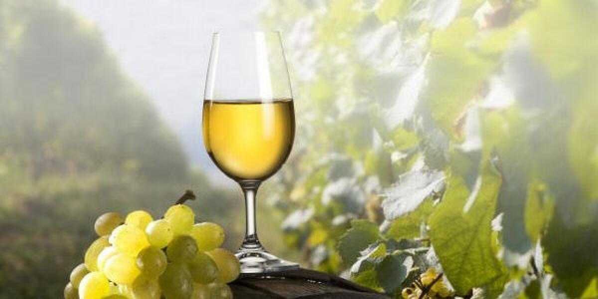 La falanghina di Castelvenere per due sere protagonista sulla “Terrazza Pizza Tales” al Pizza Village di Napoli - 