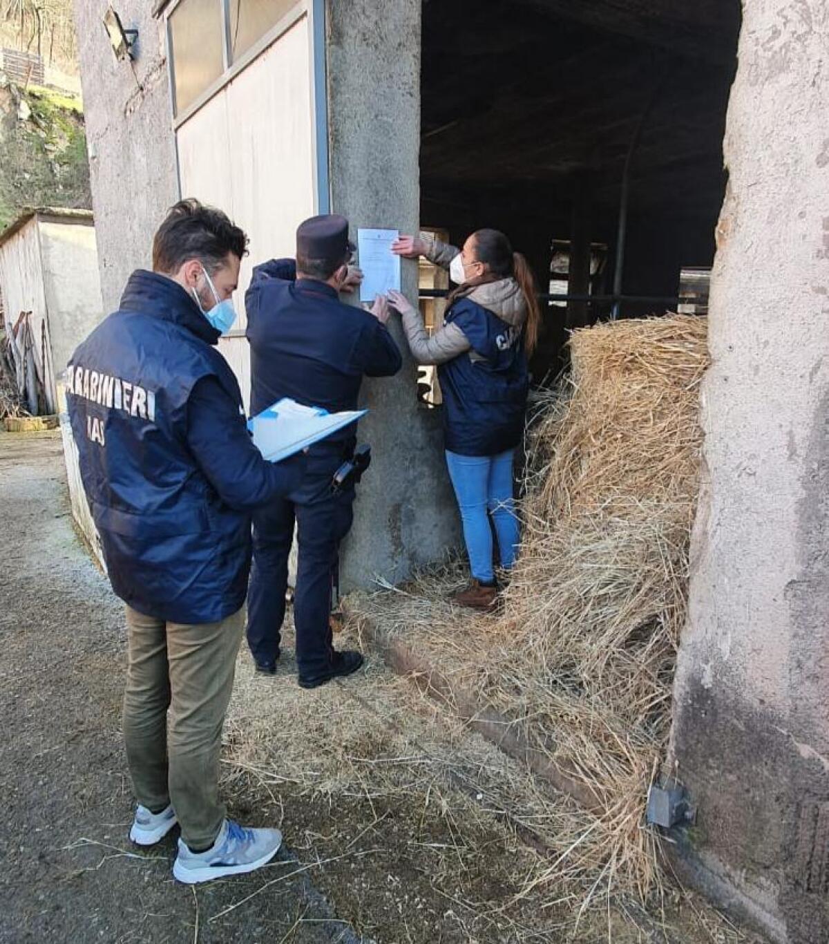 Controlli dei Nas in Irpinia elevate sanzioni per 15 mila euro - 