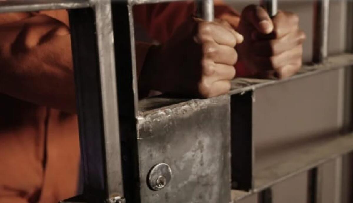 Carcere di Santa Maria Capua Vetere, arriva il canile . - 