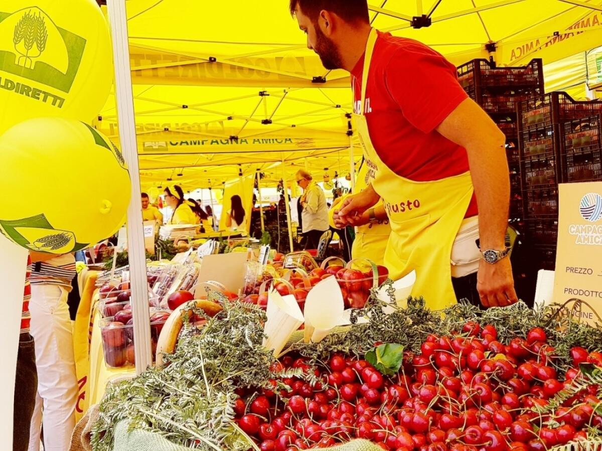 Festa delle ciliegie a km zero - 