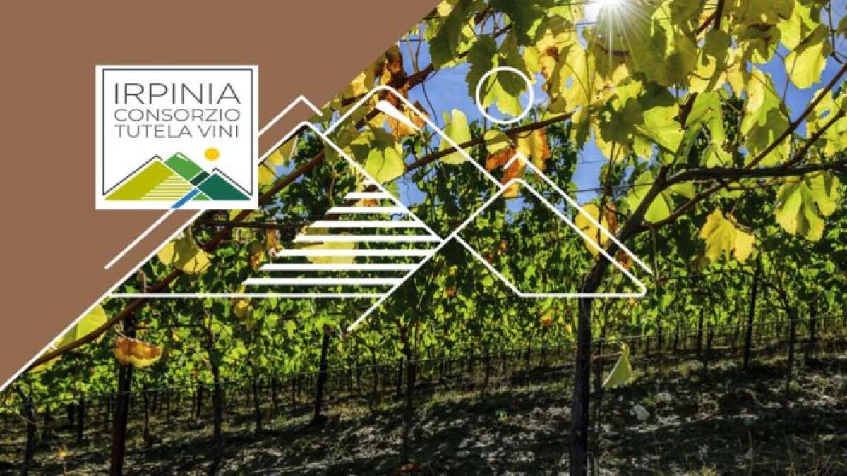Mastroberardino perse le elezioni prova a delegittimare il Consorzio di Tutela - 