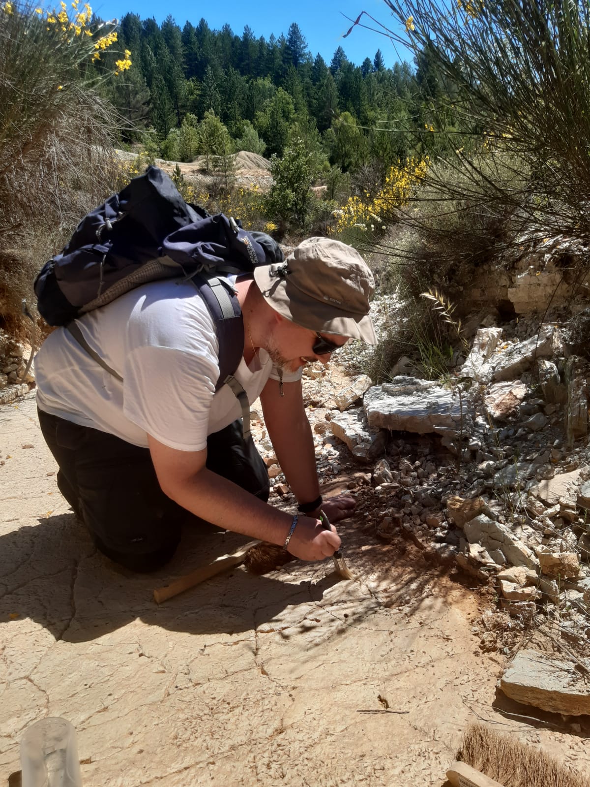 Quasi 200 paleontologi a Benevento e Pietraroja