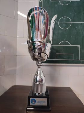 Asd Paolisi 2000 vince Campionato Under 17 Provinciale