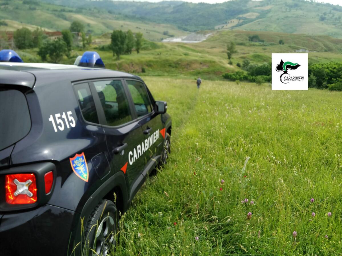 Reati ambientali, denunciate quattro persone - 