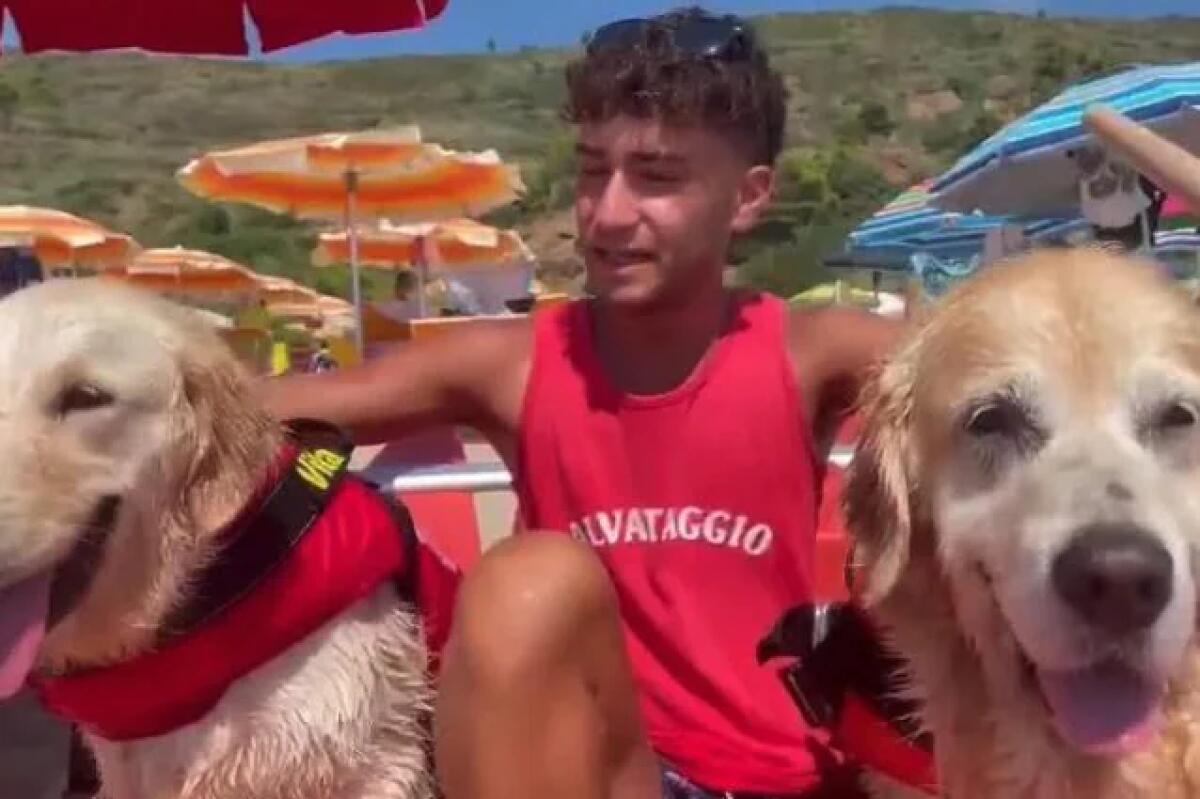 Affonda pedalò, 5 ragazzi salvati dai cani del bagnino - 