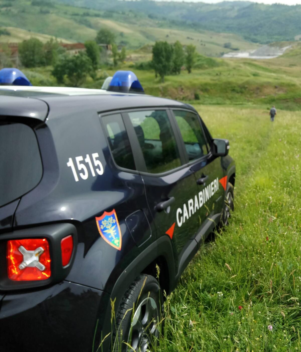 4 persone denunciate per danneggiamento e distruzione o deturpamento di bellezze naturali. - 