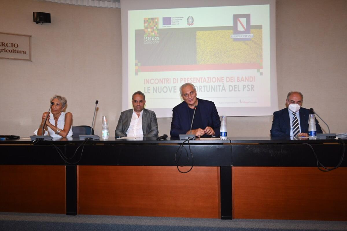 Presentate misure e bandi relativi alla fase transitoria 2021-2022 del #PSRCampania - 