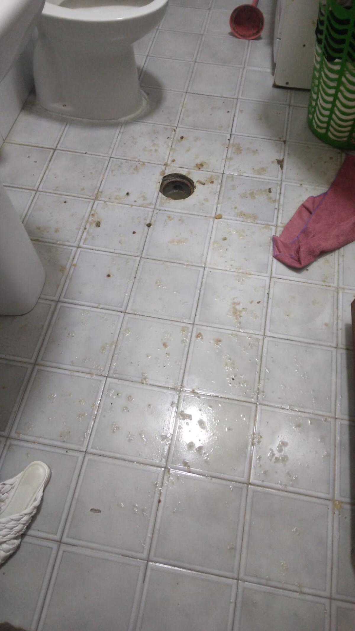 Impianto fognario delle case popolari in tilt: “Acqua sporca sale nel lavandino della cucina” - 
