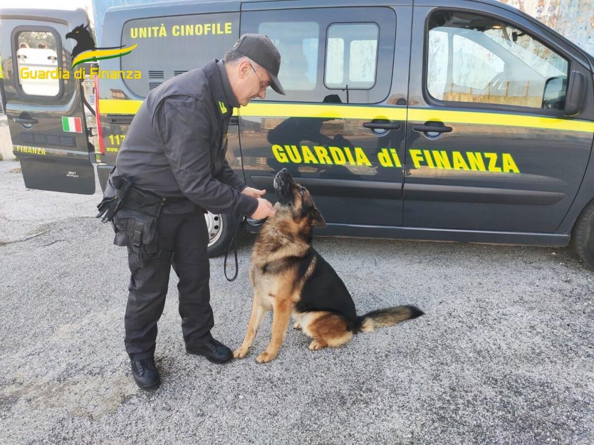 Armi e droga, eseguite 10 ordinanze cautelari, 7 in carcere,2 ai domiciliari e 1 divieto di dimora - 