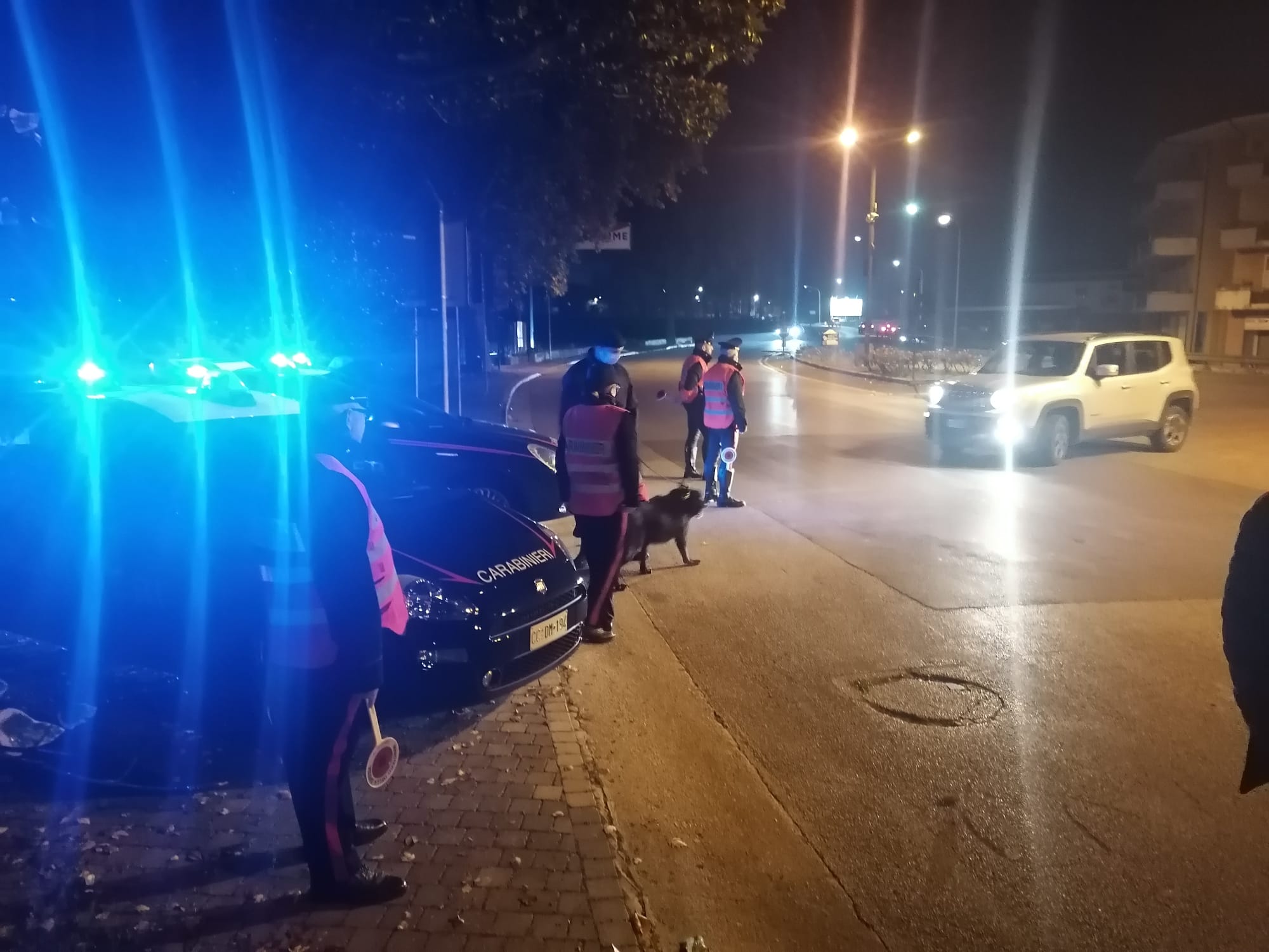 Apposti i sigilli ad un bar per gravi carenze igienico sanitarie