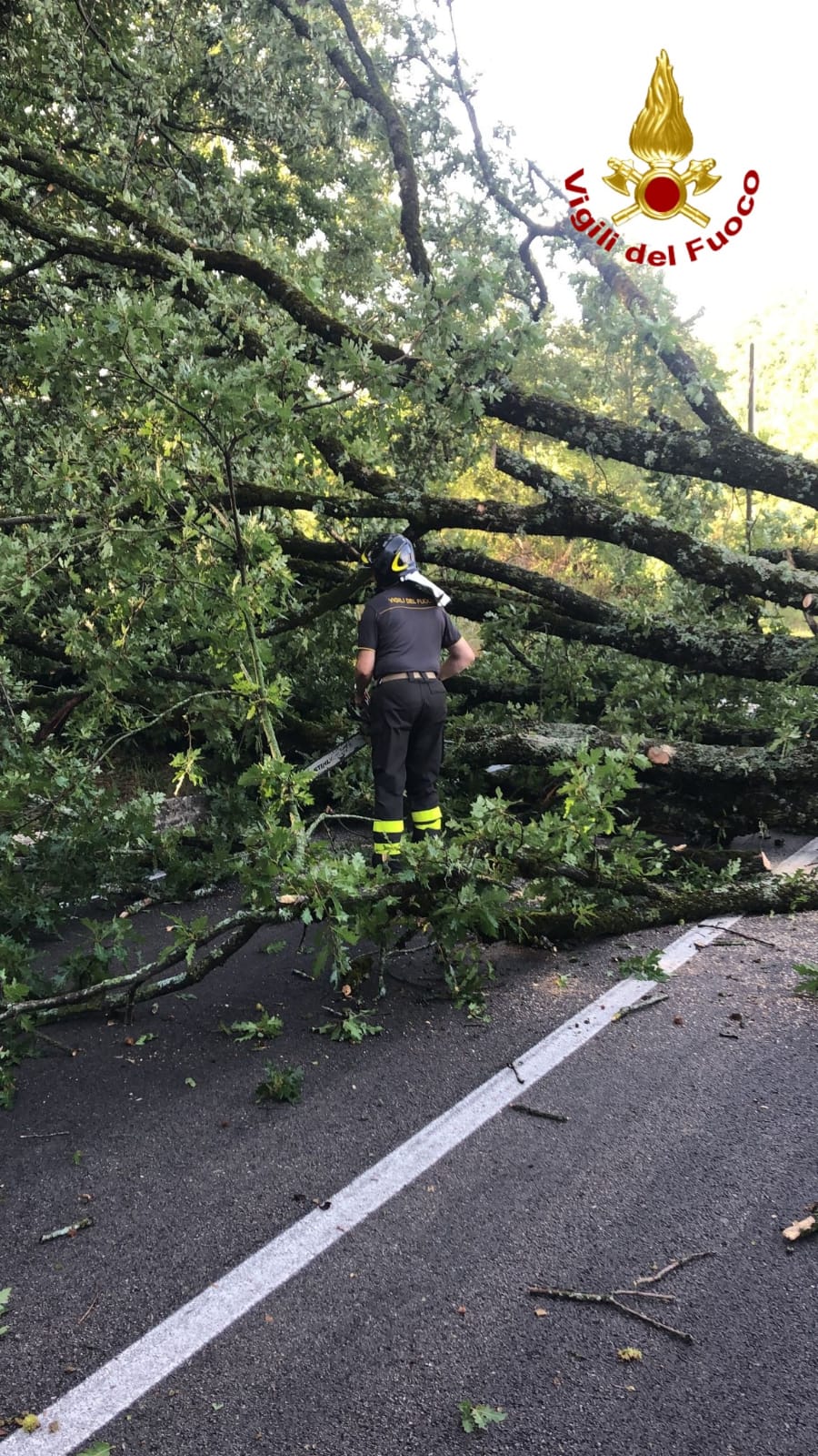 Maltempo. Decine di interventi dei vigili del fuoco in Irpinia
